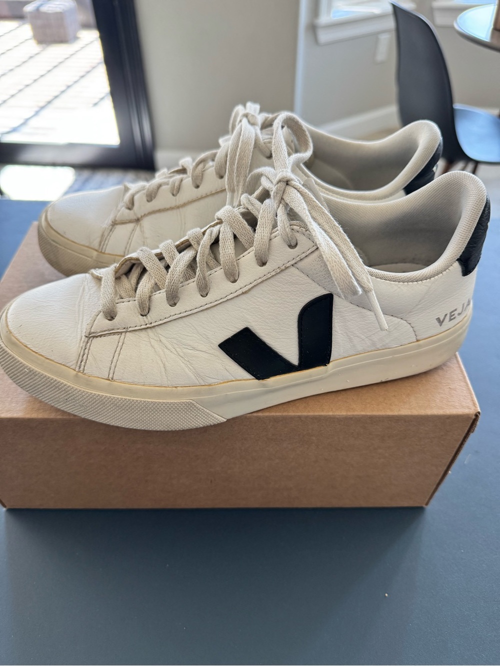 Veja White Sneakers with Black V Logo